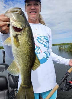 Largemouth Bass Fishing in Fort Lauderdale, Florida