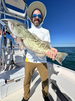 Fishing in Sarasota, Florida