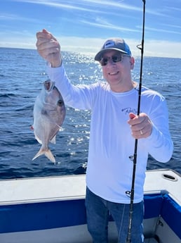 Fishing in Riviera Beach, Florida