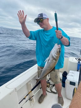 Amberjack Fishing in Destin, Florida