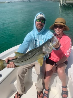 Snook fishing in Sarasota, Florida