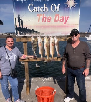 Black Drum, Redfish Fishing in Rockport, Texas