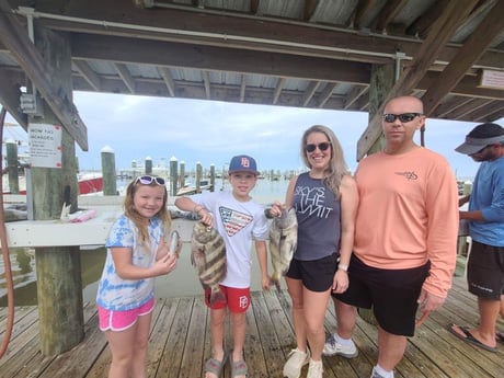 Sheepshead Fishing in Gulf Shores, Alabama