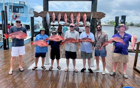 False Albacore, Red Snapper Fishing in Orange Beach, Alabama