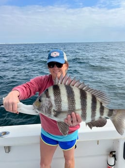 Sheepshead Fishing in Gulf Shores, Alabama