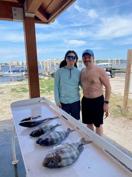 Sheepshead Fishing in Jacksonville, Florida