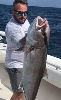 Amberjack fishing in Port O&#039;Connor, Texas