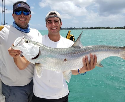 Tarpon fishing in Carolina, Carolina