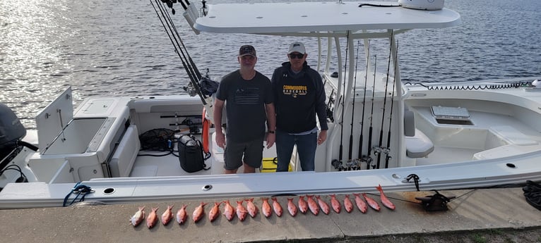 Vermillion Snapper Fishing in Panama City, Florida