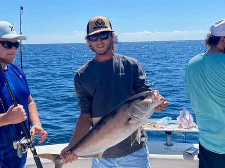 Amberjack fishing in Orange Beach, Alabama