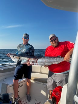 Black Marlin Fishing in Pensacola, Florida