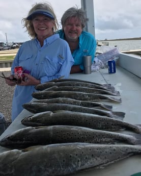 Speckled Trout / Spotted Seatrout fishing in Galveston, Texas