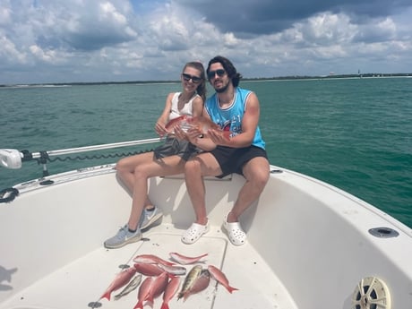 Lane Snapper, Perch, Vermillion Snapper Fishing in Gulf Shores, Alabama