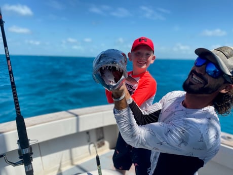 Barracuda Fishing in Key Largo, Florida