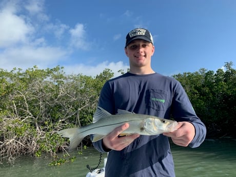 Snook fishing in Key Largo, Florida