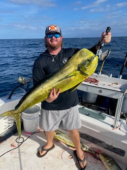 Mahi Mahi / Dorado Fishing in Santa Rosa Beach, Florida