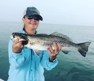 Speckled Trout / Spotted Seatrout fishing in Surfside Beach, Texas