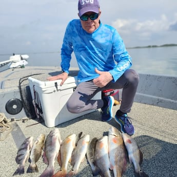 Black Drum, Redfish, Speckled Trout Fishing in Galveston, Texas