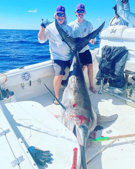 Swordfish Fishing in Freeport, Texas