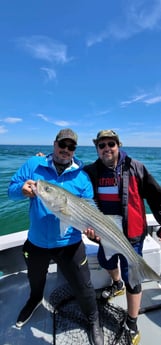 Striped Bass Fishing in Barnstable, Massachusetts