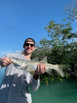 Snook Fishing in Key Largo, Florida