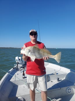 Black Drum fishing in Corpus Christi, Texas