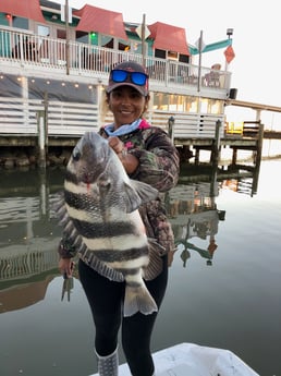 Sheepshead fishing in Surfside Beach, Texas