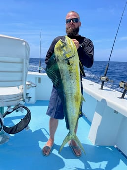 Mahi Mahi / Dorado fishing in Key West, Florida