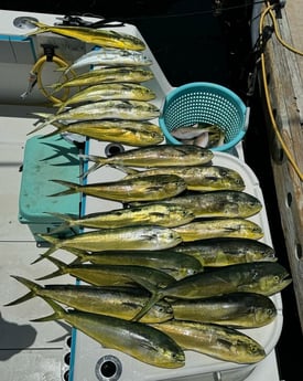 Fishing in Key Largo, Florida