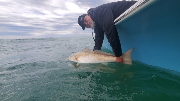 Redfish Fishing in Beaufort, North Carolina