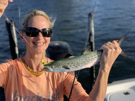 Spanish Mackerel Fishing in Jupiter, Florida