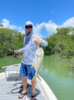 Jack Crevalle fishing in Key Largo, Florida