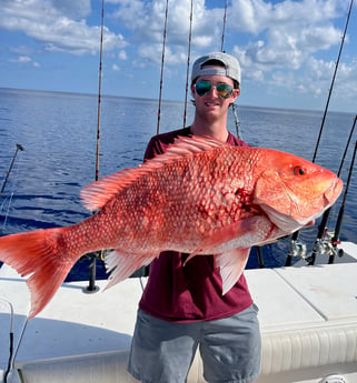 Red Snapper Fishing in Cape Coral, Florida