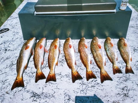 Redfish fishing in Rio Hondo, Texas