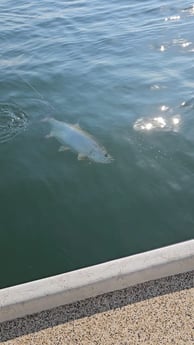 Fishing in Port O&#039;Connor, Texas