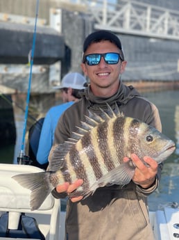 Sheepshead Fishing in Mount Pleasant, South Carolina