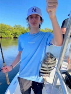 Sheepshead fishing in Naples, Florida