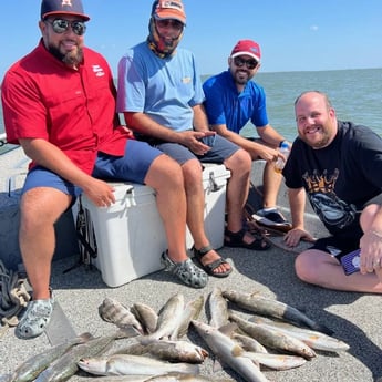 Speckled Trout / Spotted Seatrout fishing in Galveston, Texas