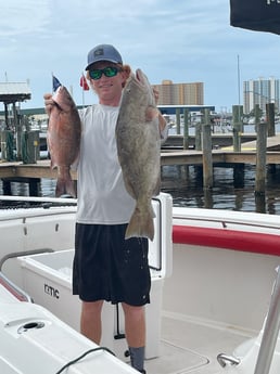 Gag Grouper, Mangrove Snapper fishing in Panama City Beach, Florida