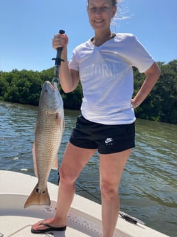 Sheepshead fishing in St. Petersburg, Florida