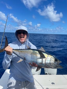 Blackfin Tuna fishing in Sarasota, Florida