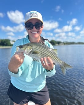 Striped Bass Fishing in West Palm Beach, Florida