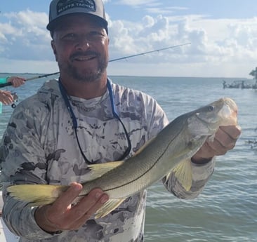 Snook fishing in Key Largo, Florida