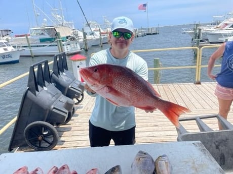 Red Snapper Fishing in Pensacola, Florida