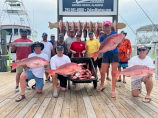 Red Snapper fishing in Orange Beach, Alabama