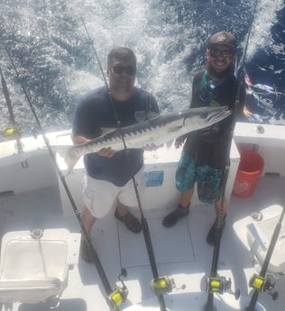 Barracuda fishing in Key West, Florida