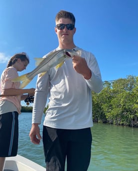 Mahi Mahi / Dorado fishing in Key Largo, Florida