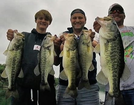 Largemouth Bass fishing in Austin, Texas