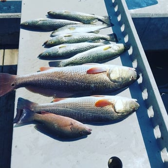 Fishing in Holmes Beach, Florida