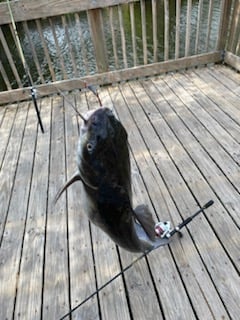 Fishing in Weston, Florida